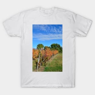 Autumnal Grape Vines T-Shirt